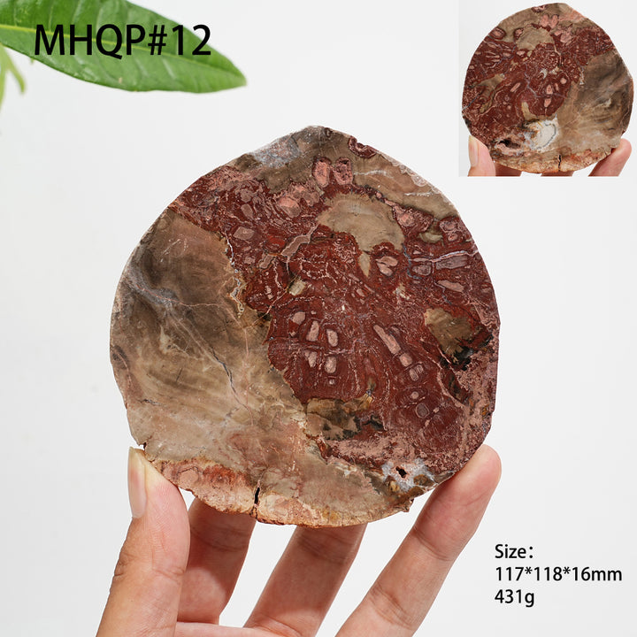 Rebanada de madera petrificada de cristal natural única