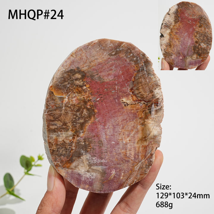 Einzigartige, natürliche Scheibe aus versteinertem Holz