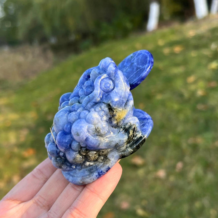 Natural Blue and White Porcelain Sodalite Money Toad