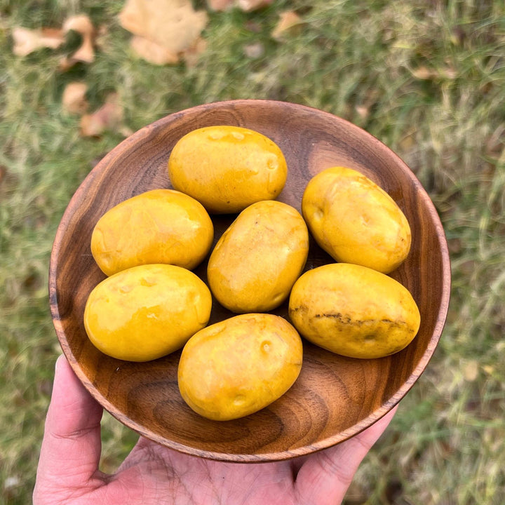 Natural Carved Yellow Aventurine Potato
