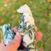 Natural Moss Agate Stand Bear