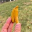 Natural Carved Yellow Aventurine Banana