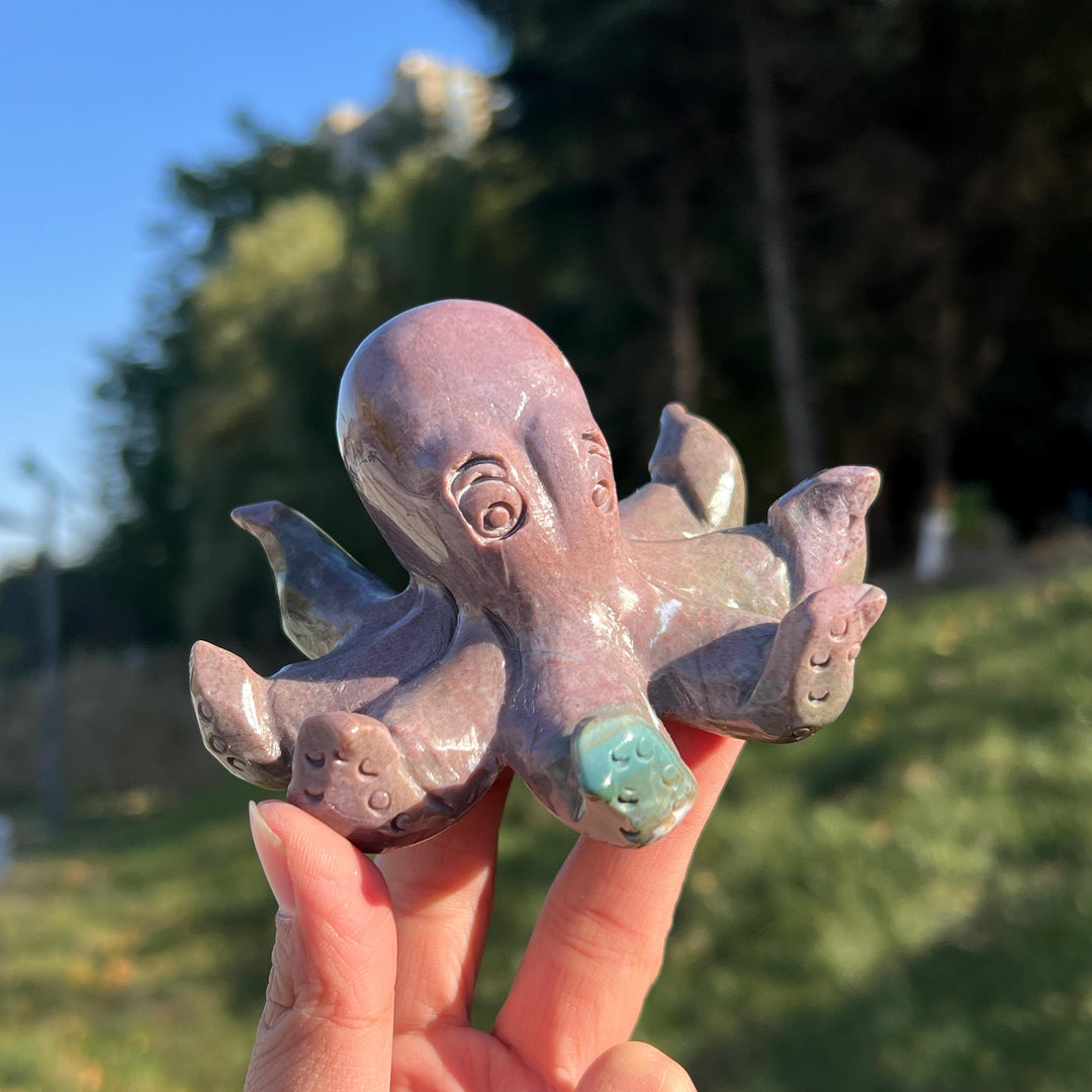 Unique Natural Ocean Jasper Octopus