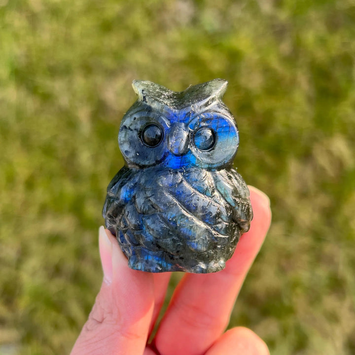 Natural Crystal Carving Labradorite Owl