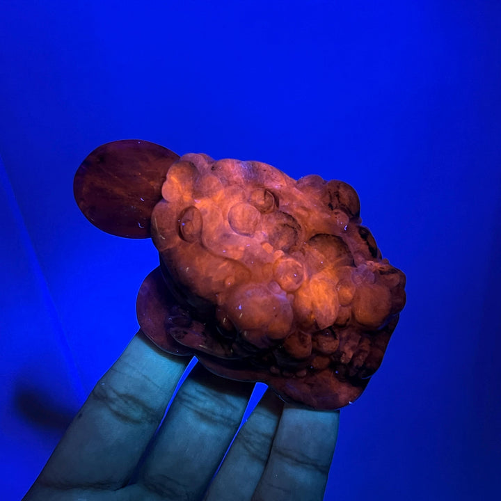 Natural Blue and White Porcelain Sodalite Money Toad