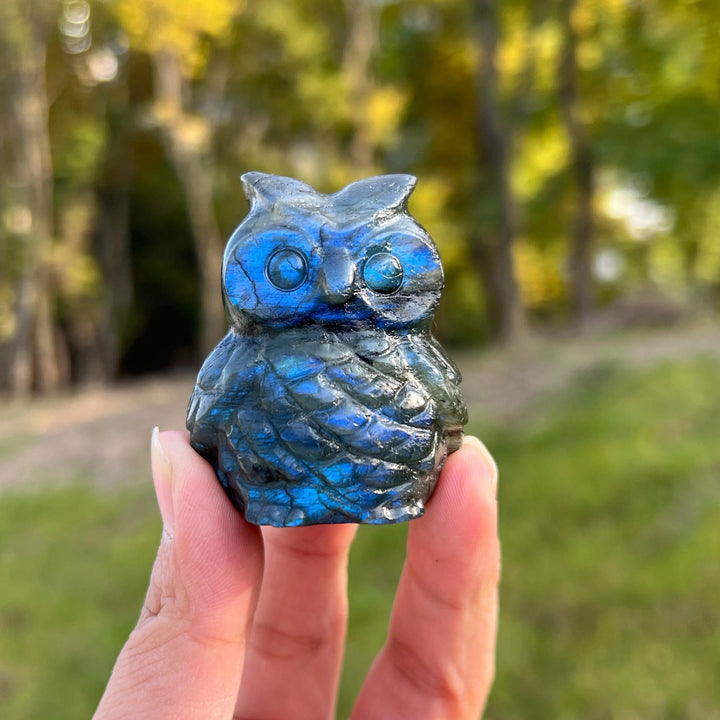 Natural Crystal Carving Labradorite Owl