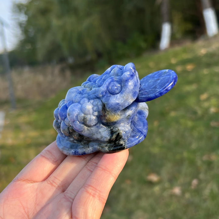 Natural Blue and White Porcelain Sodalite Money Toad