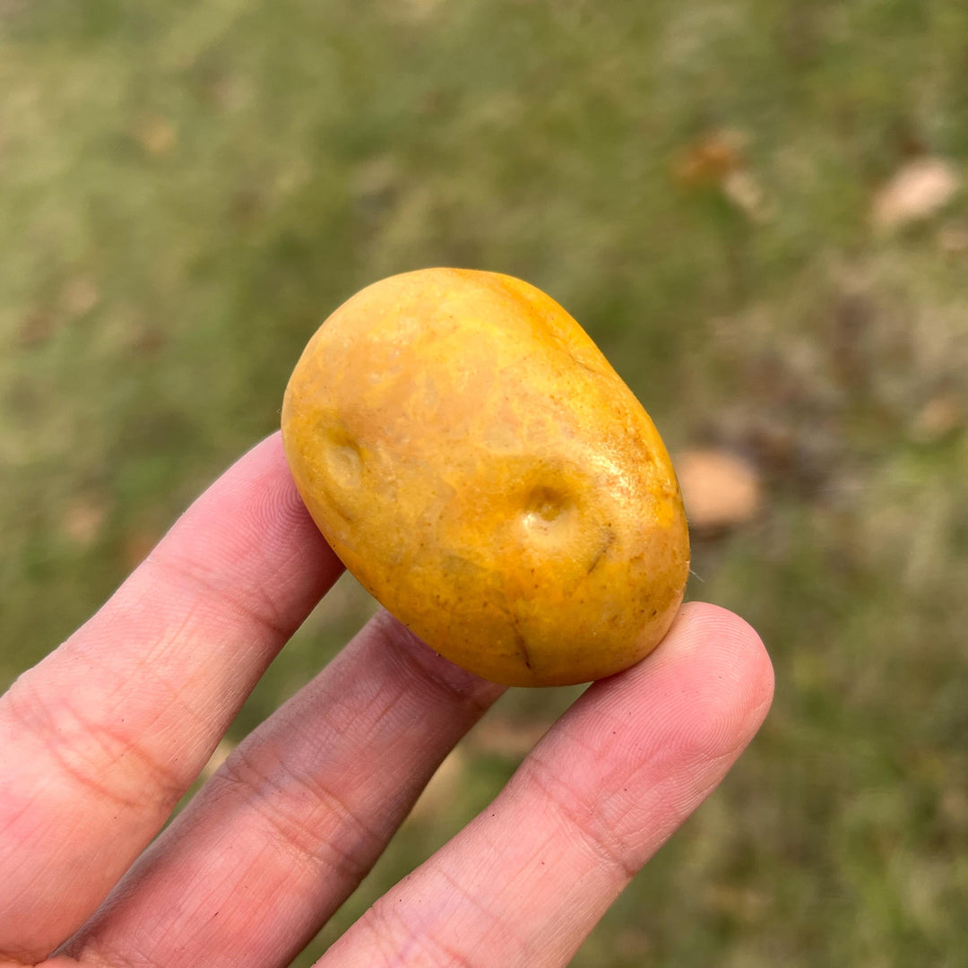 Natural Carved Yellow Aventurine Potato
