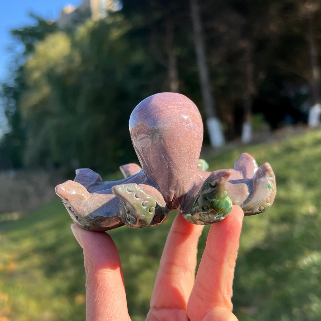 Unique Natural Ocean Jasper Octopus