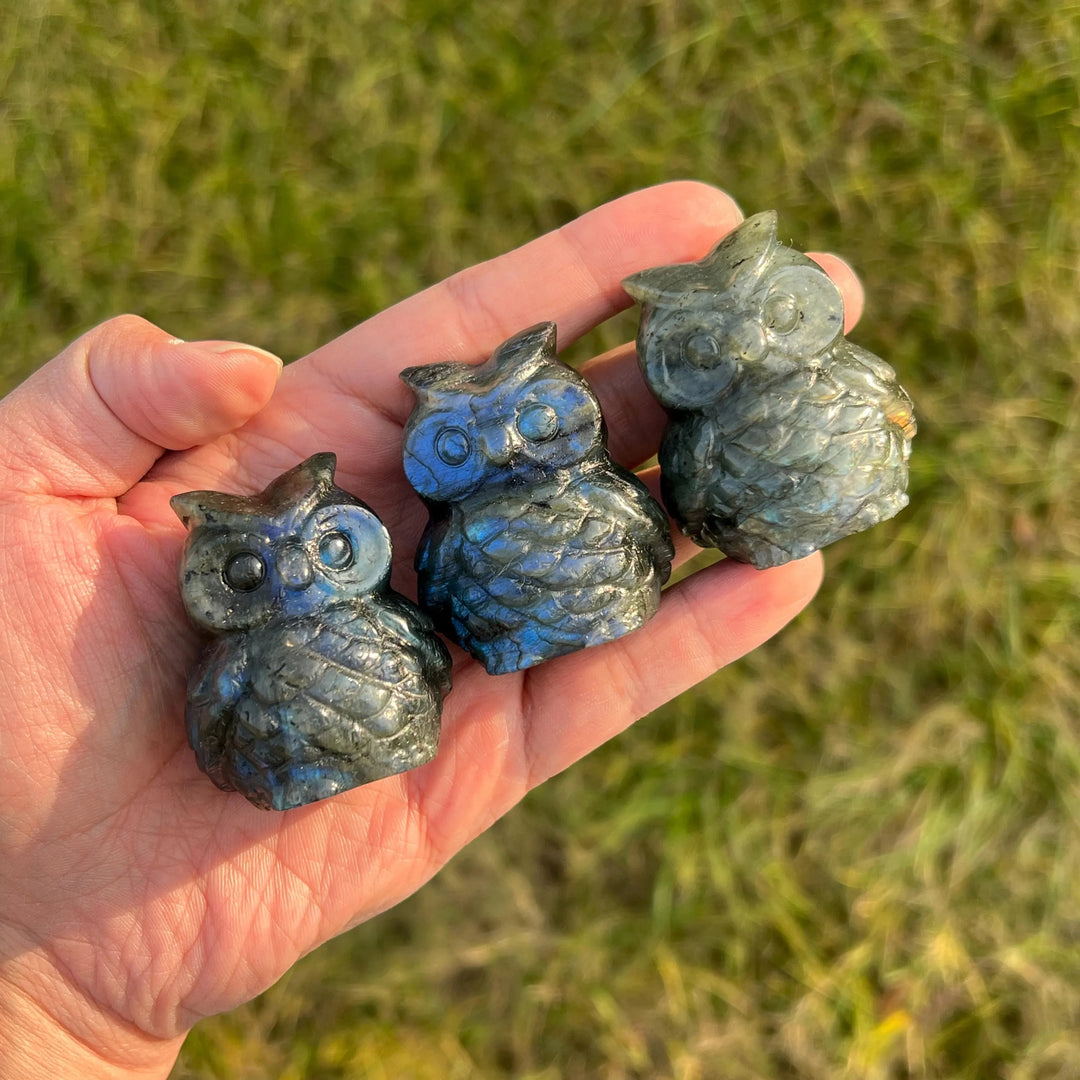 Natural Crystal Carving Labradorite Owl