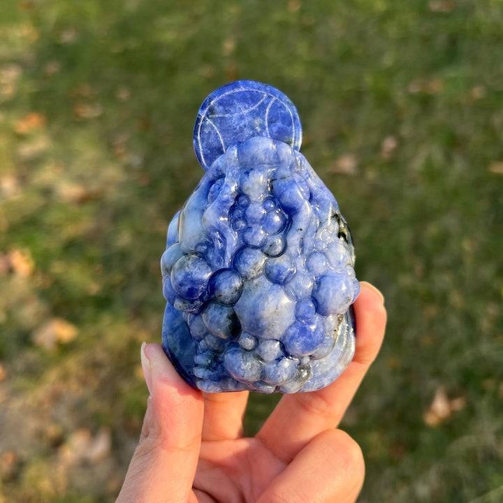 Natural Blue and White Porcelain Sodalite Money Toad
