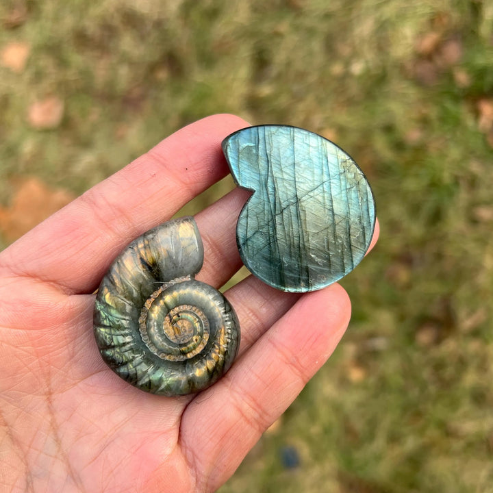 Natural Crystal Labradorite Ammonite Carving
