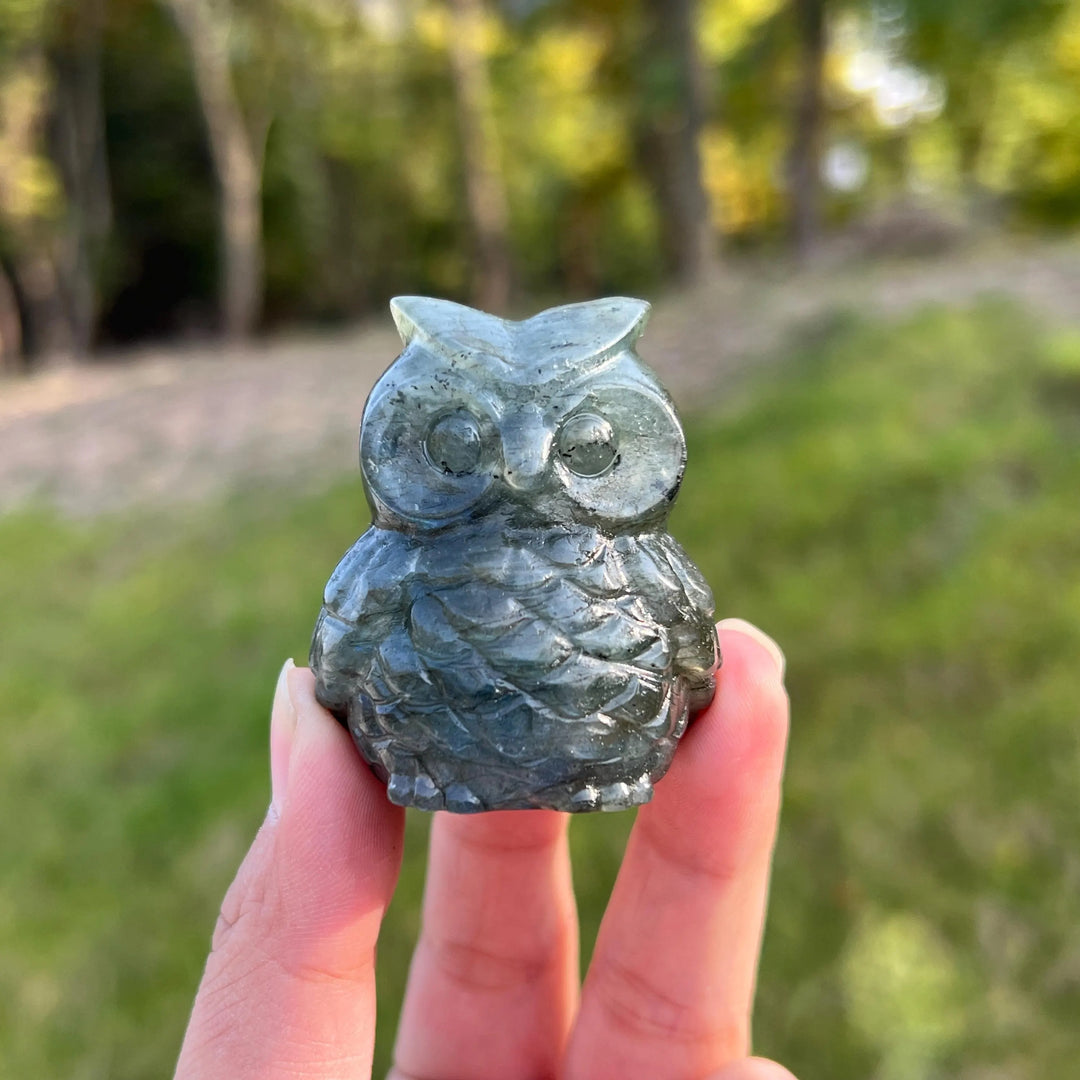 Natural Crystal Carving Labradorite Owl