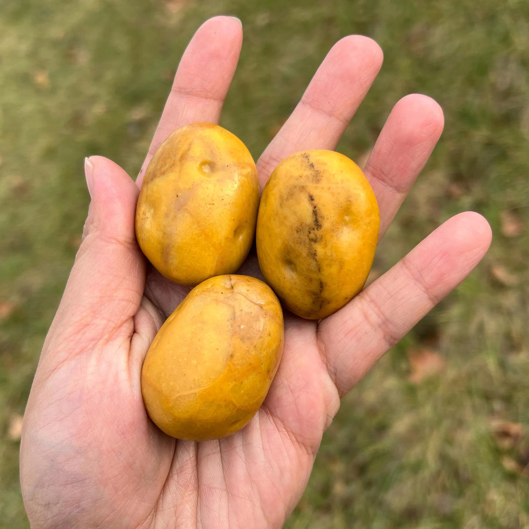 Natural Carved Yellow Aventurine Potato