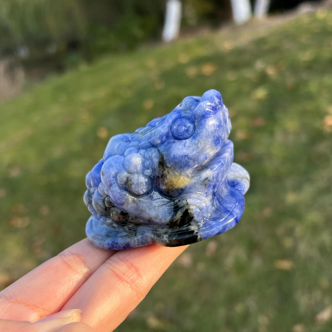 Natural Blue and White Porcelain Sodalite Money Toad