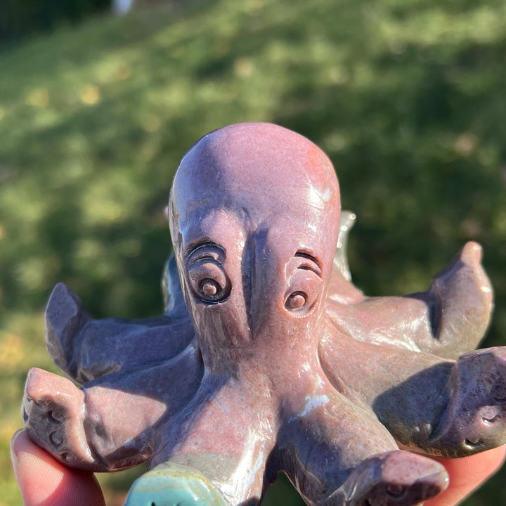 Unique Natural Ocean Jasper Octopus