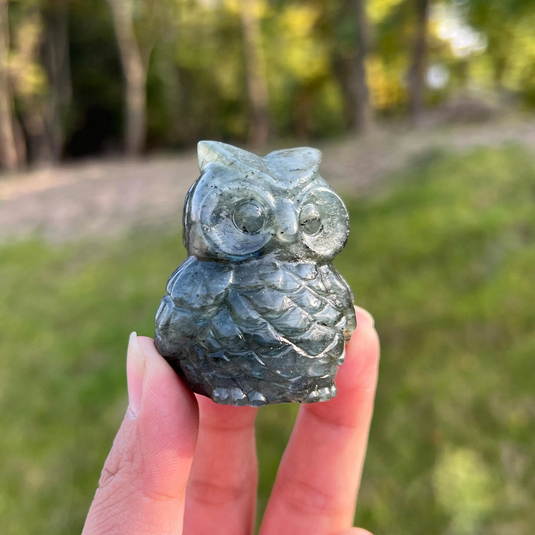 Natural Crystal Carving Labradorite Owl