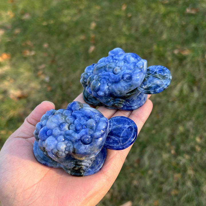 Natural Blue and White Porcelain Sodalite Money Toad
