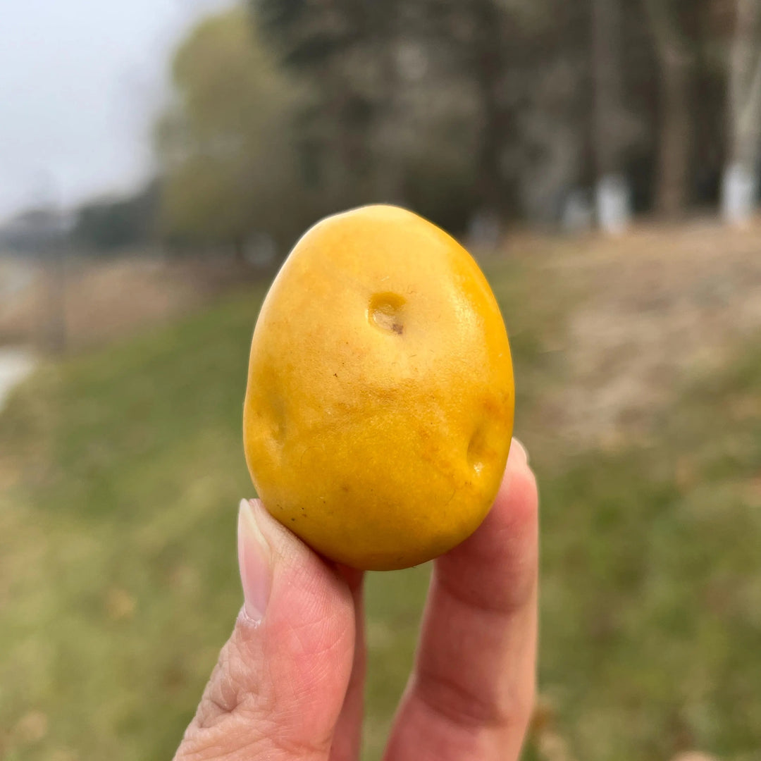 Natural Carved Yellow Aventurine Potato