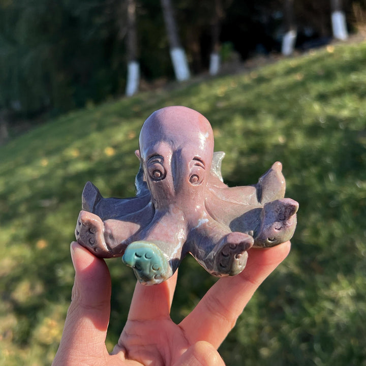 Unique Natural Ocean Jasper Octopus