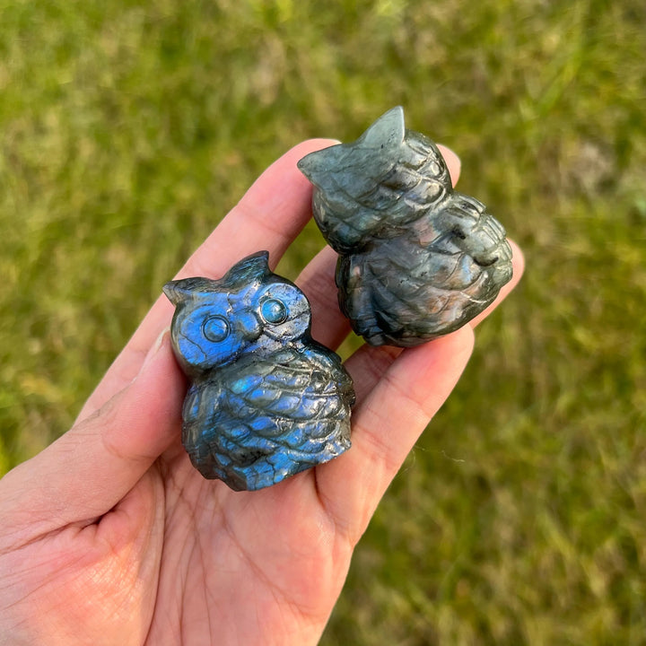 Natural Crystal Carving Labradorite Owl