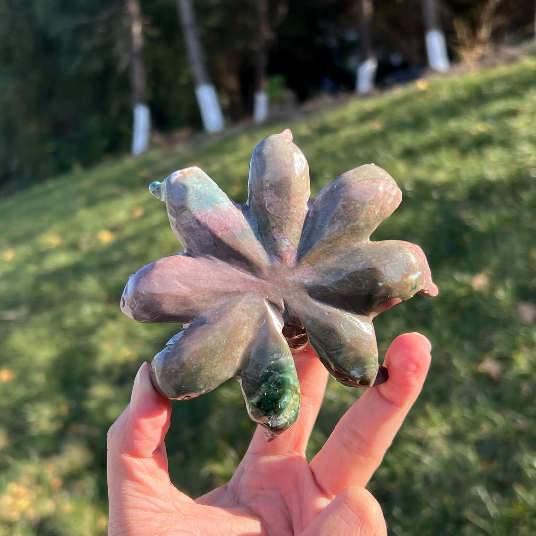 Unique Natural Ocean Jasper Octopus