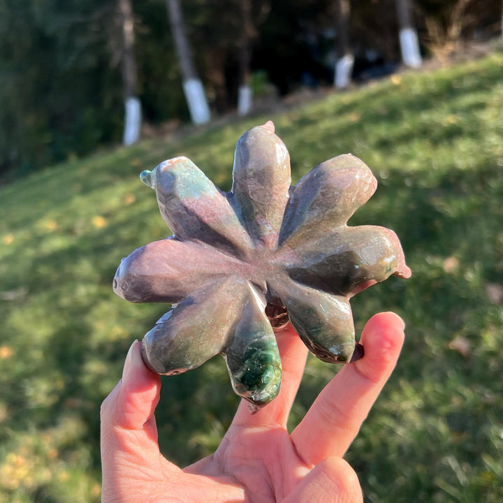 Unique Natural Ocean Jasper Octopus
