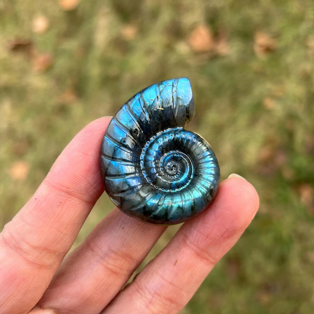 Natural Crystal Labradorite Ammonite Carving