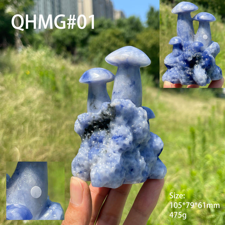 Unique,A Slightly Imperfect Natural Blue And White Porcelain Sodalite Mushroom