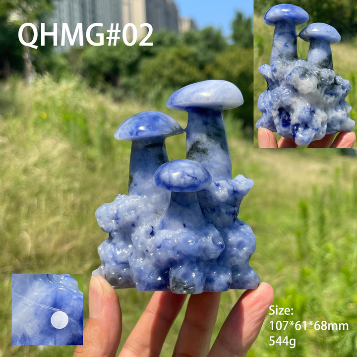 Unique,A Slightly Imperfect Natural Blue And White Porcelain Sodalite Mushroom