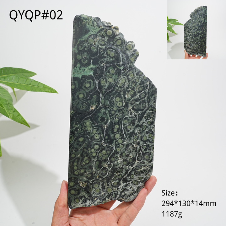 Unique,Natural Crystal Kambaba Jasper Slice