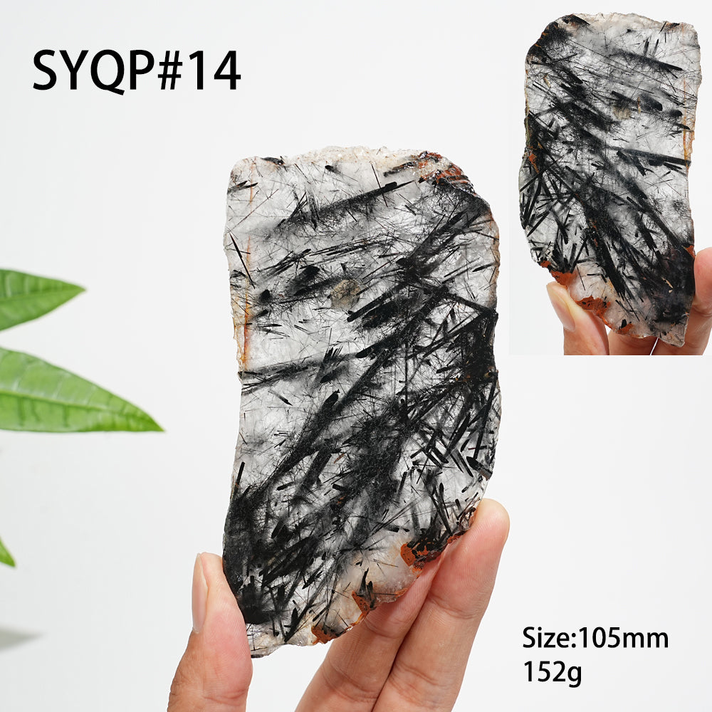 Unique,Natural Crystal Black Tourmaline In Quartz Slice