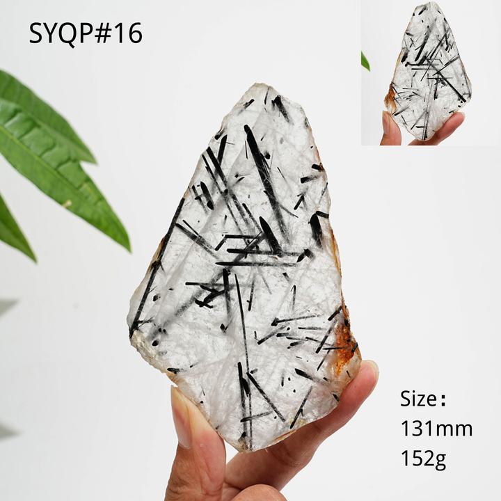 Unique,Natural Crystal Black Tourmaline In Quartz Slice