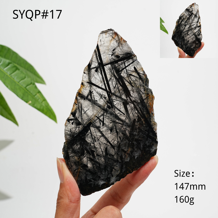 Unique,Natural Crystal Black Tourmaline In Quartz Slice