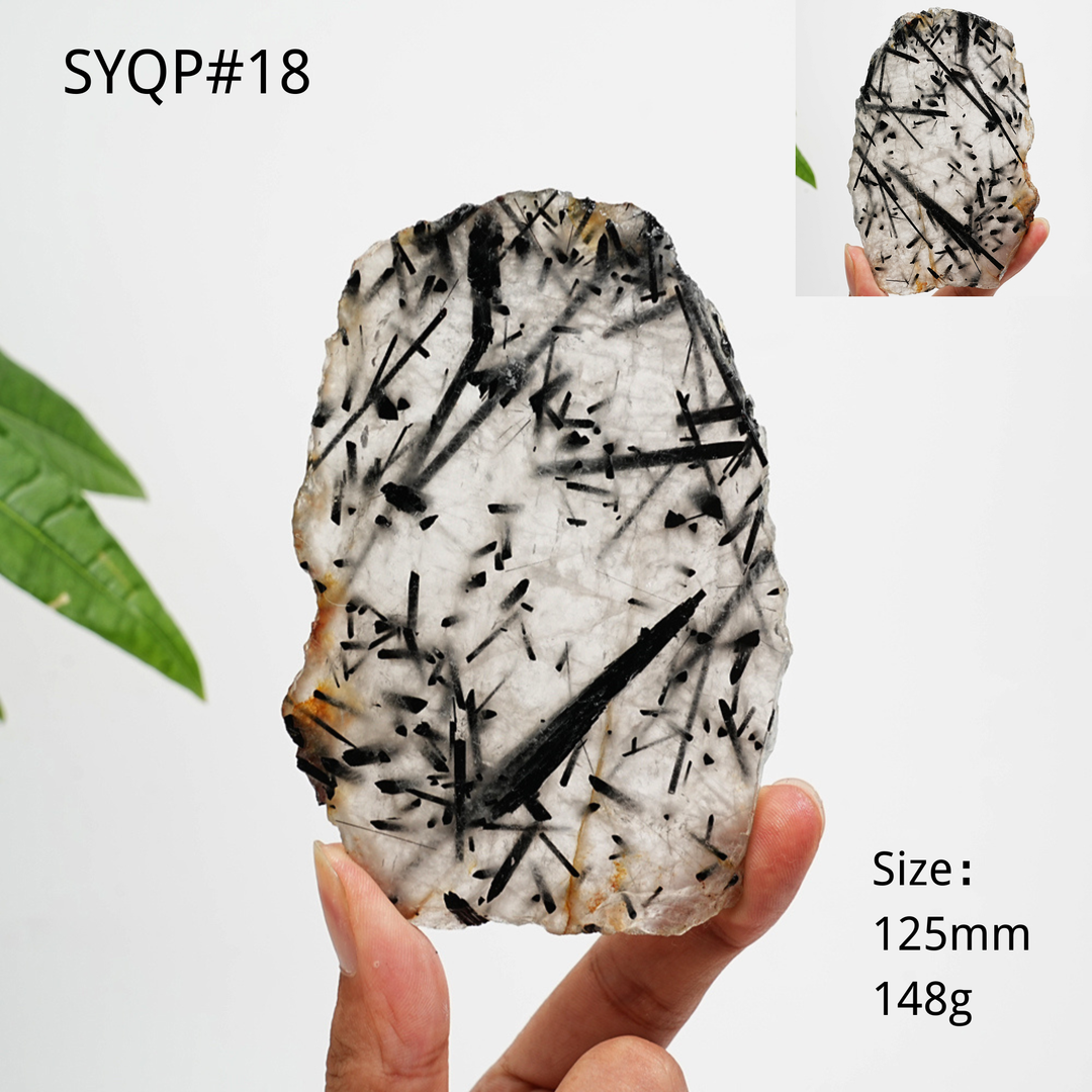 Unique,Natural Crystal Black Tourmaline In Quartz Slice