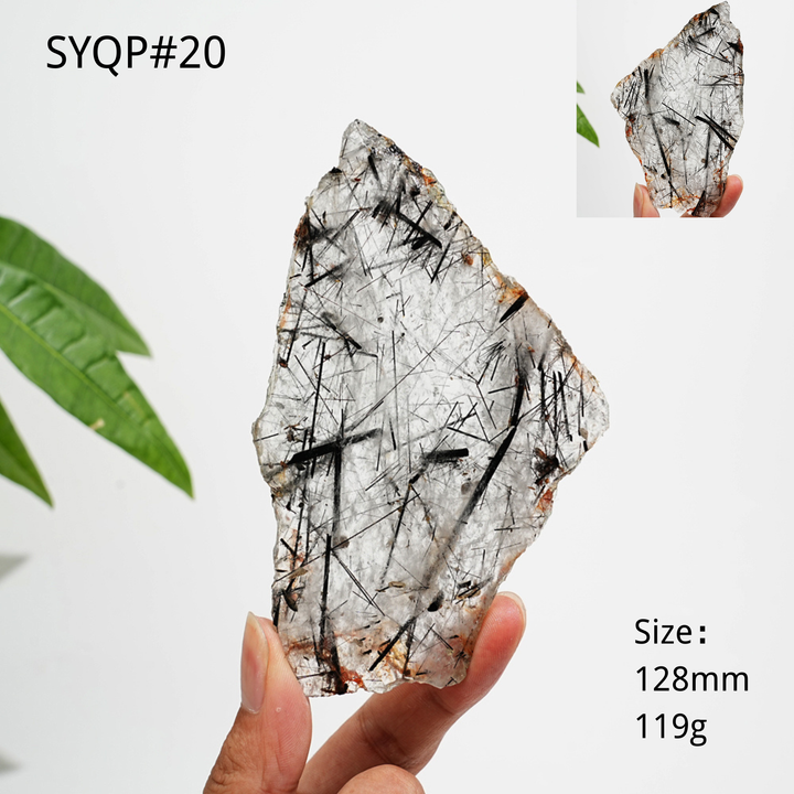 Unique,Natural Crystal Black Tourmaline In Quartz Slice