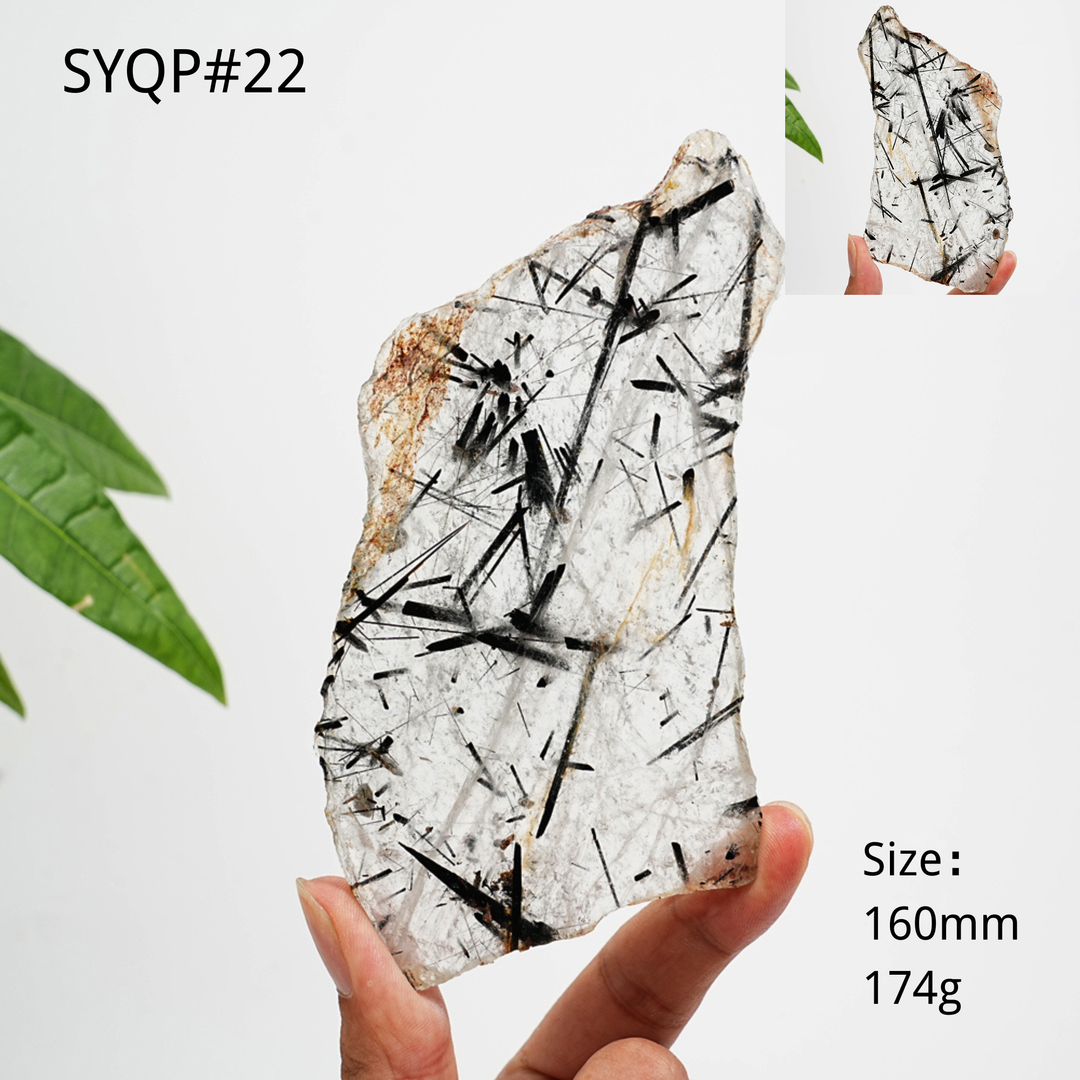 Unique,Natural Crystal Black Tourmaline In Quartz Slice