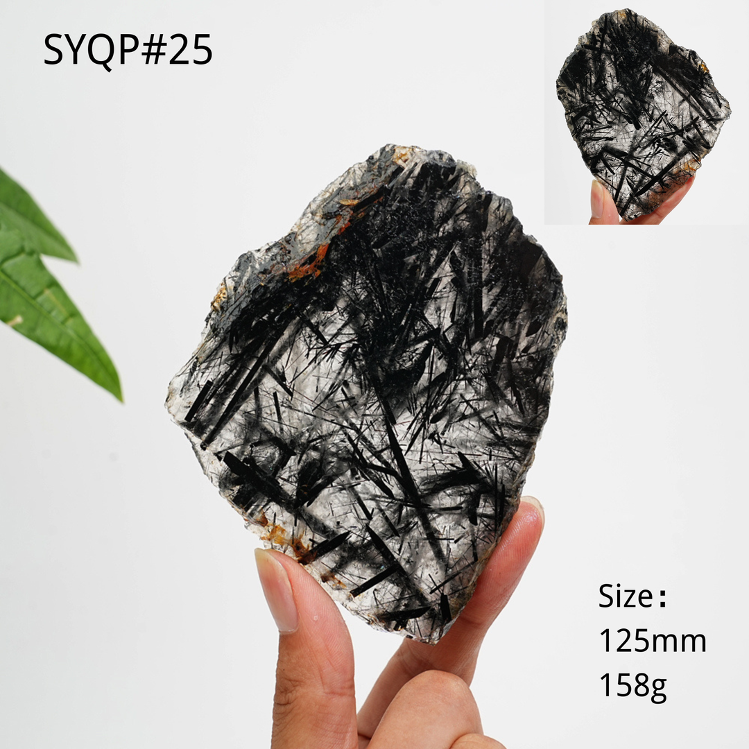 Unique,Natural Crystal Black Tourmaline In Quartz Slice