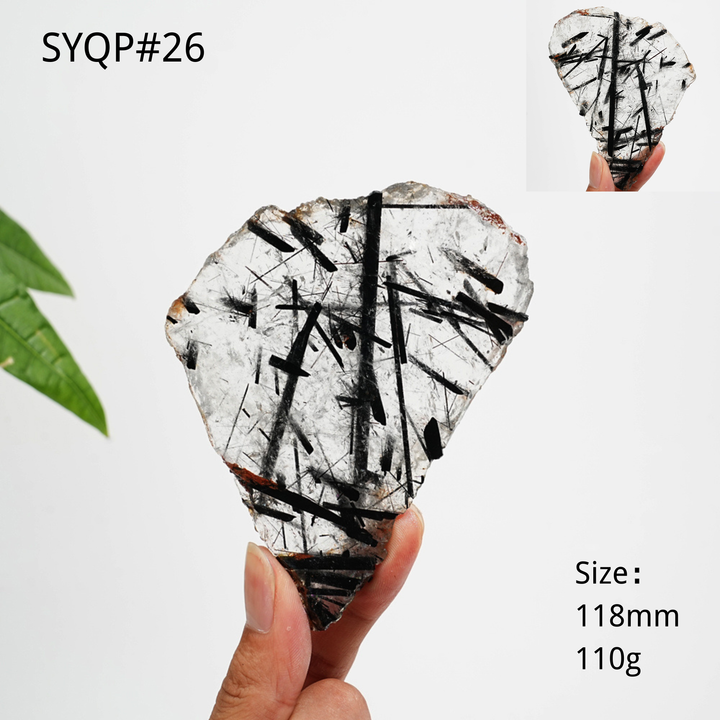 Unique,Natural Crystal Black Tourmaline In Quartz Slice