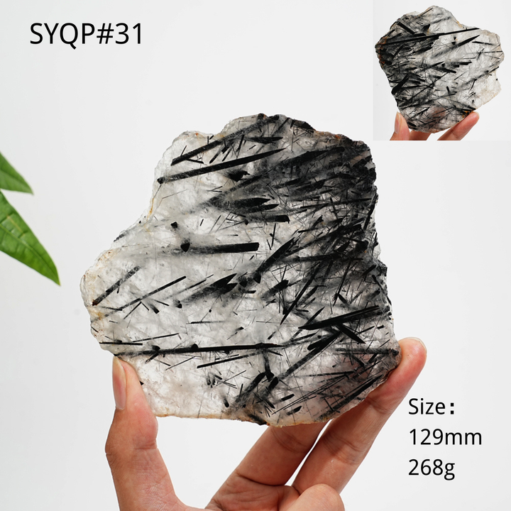 Unique,Natural Crystal Black Tourmaline In Quartz Slice