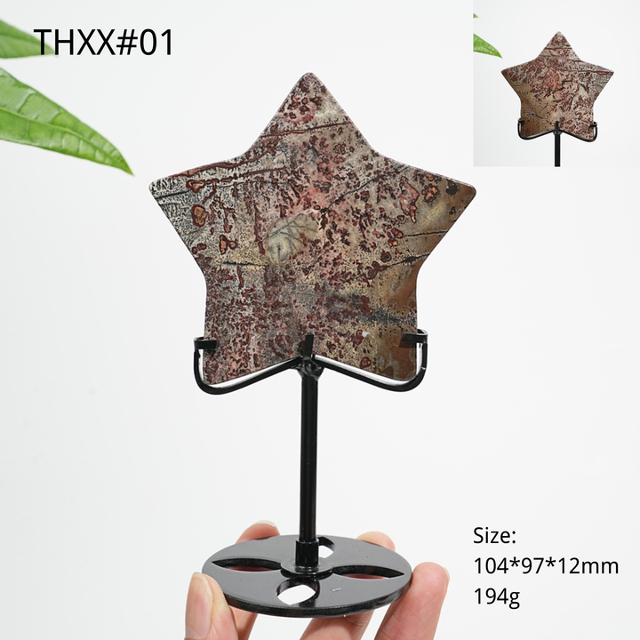 Estrella de Jasper Picture de Cristal Natural Única con Soporte