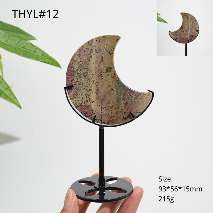 Unique,Natural Crystal Picture Jasper Moon