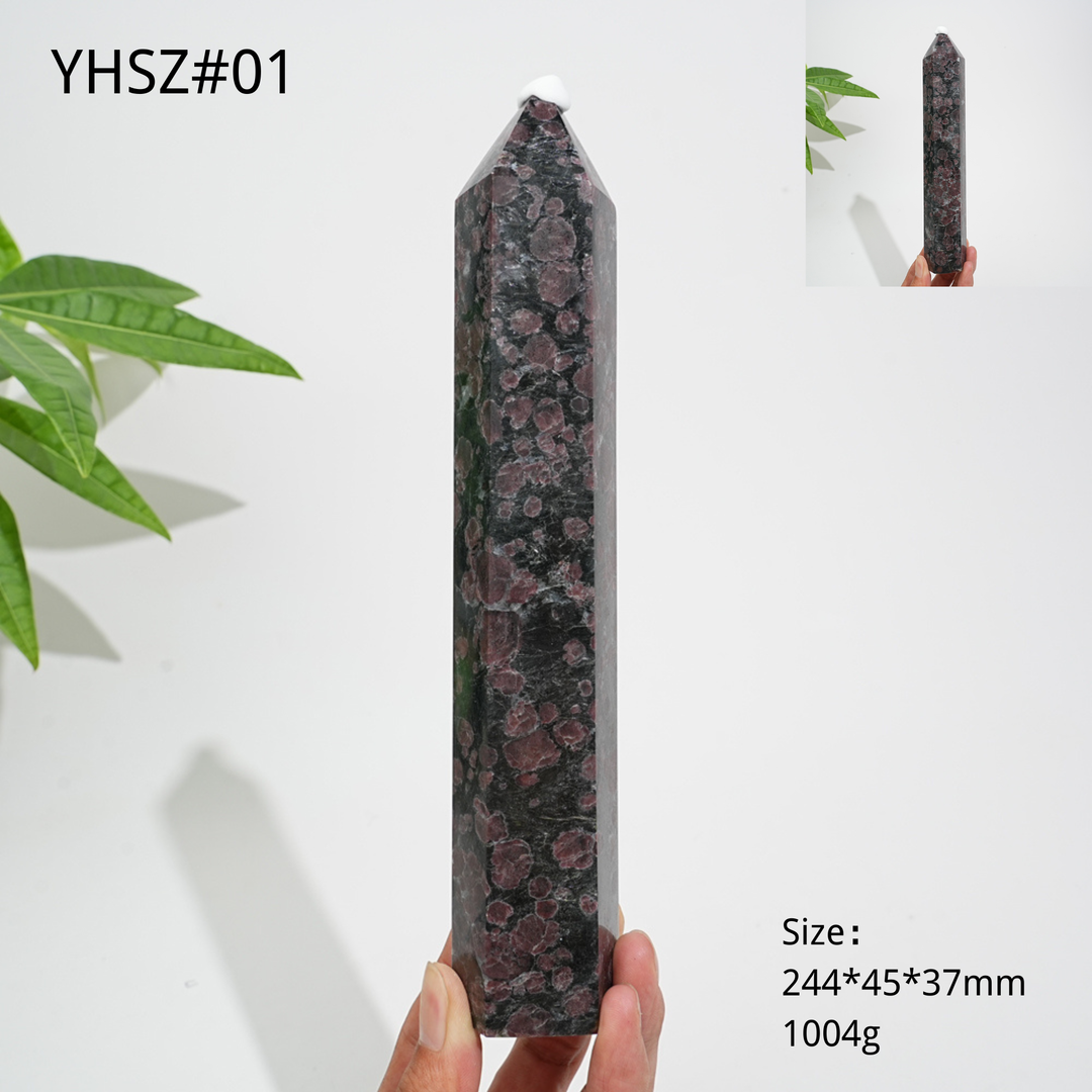 Unique,Natural Crystal Garnet With Arfvedsonite Point
