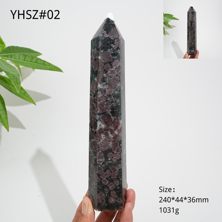 Unique,Natural Crystal Garnet With Arfvedsonite Point