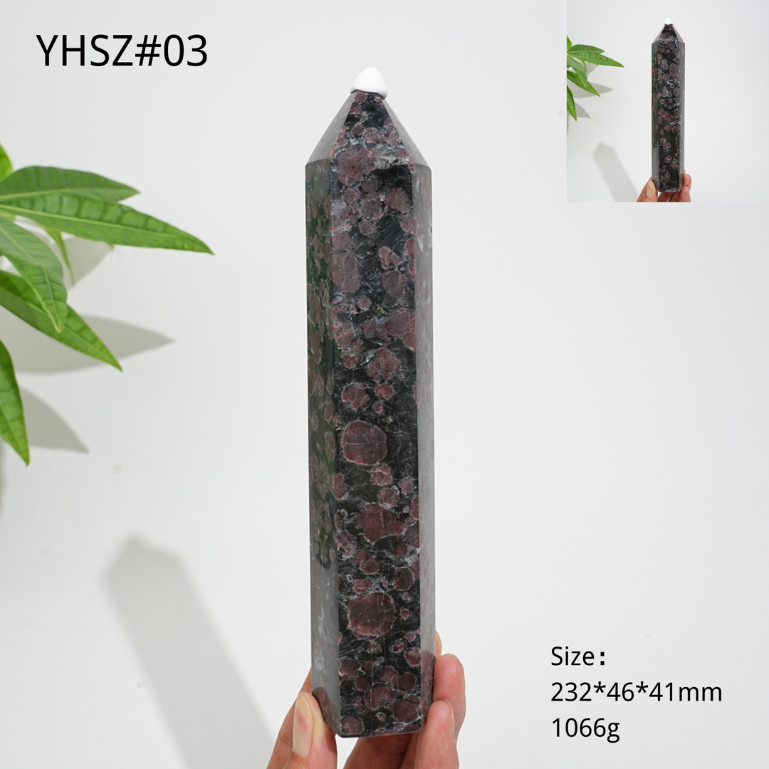 Unique,Natural Crystal Garnet With Arfvedsonite Point
