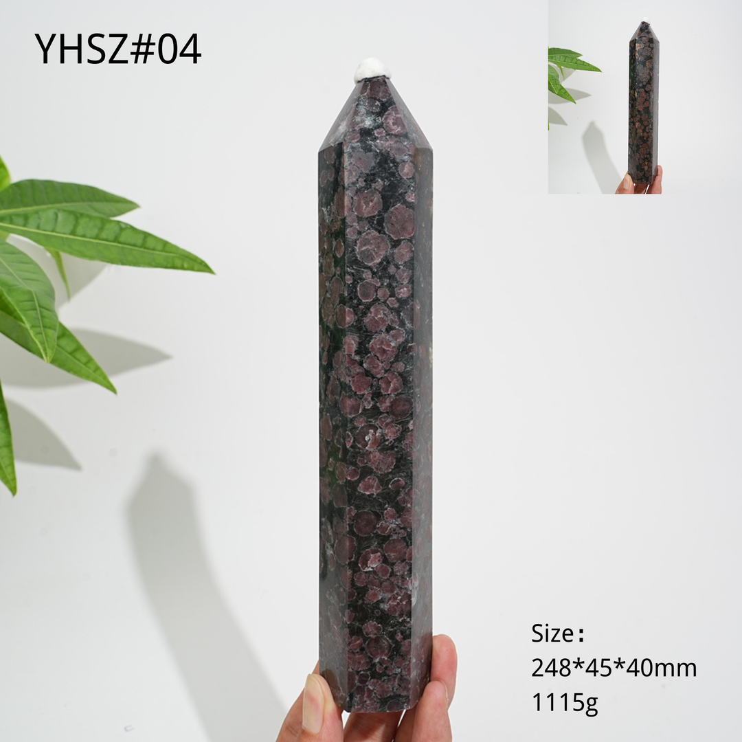 Unique,Natural Crystal Garnet With Arfvedsonite Point