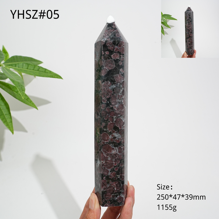 Unique,Natural Crystal Garnet With Arfvedsonite Point