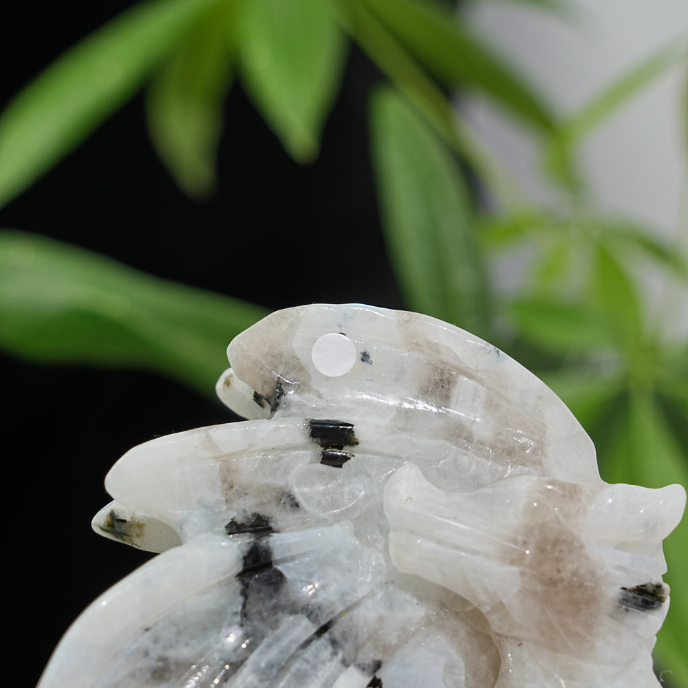 Unique,A Slightly Imperfect Natural Crystal Rainbow Moonstone Flying Dragon Carving