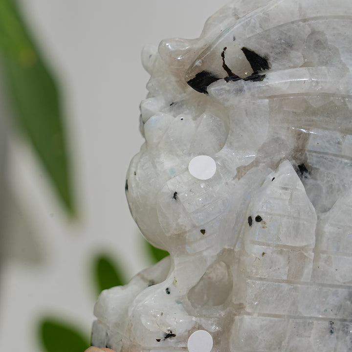 Unique,A Slightly Imperfect Natural Crystal Rainbow Moonstone Flying Dragon Carving