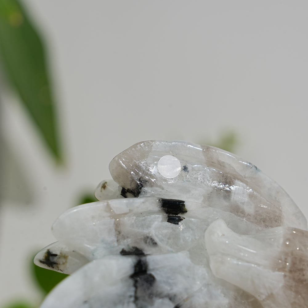 Unique,A Slightly Imperfect Natural Crystal Rainbow Moonstone Flying Dragon Carving